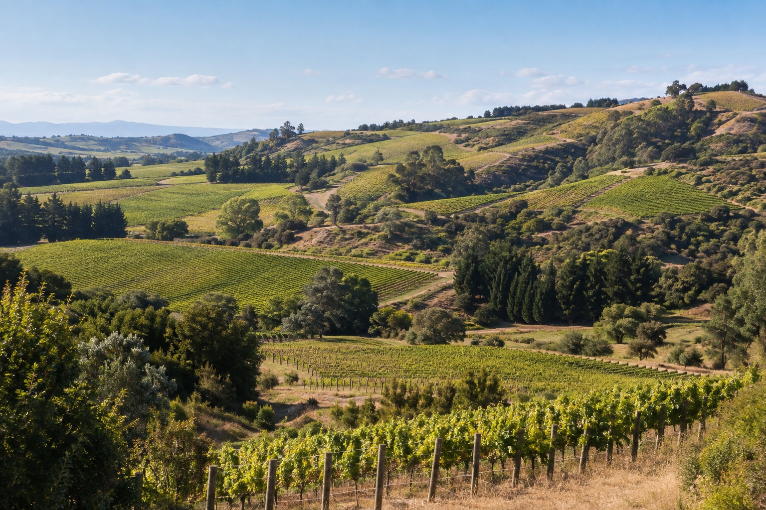Smaller, hillier vineyard plots in the Southern Valleys area near Omaka, Marlborough